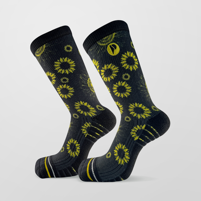 Explore - Sunflowers
