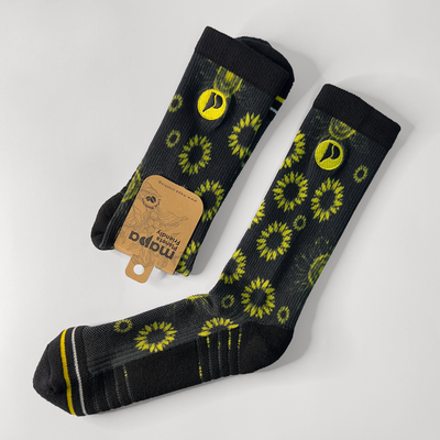Explore - Sunflowers